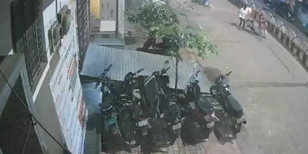 CG Crime : शराब के पैसे नहीं देने पर बुजुर्ग पर चाकू से हमला, CCTV में कैद हुई घटना