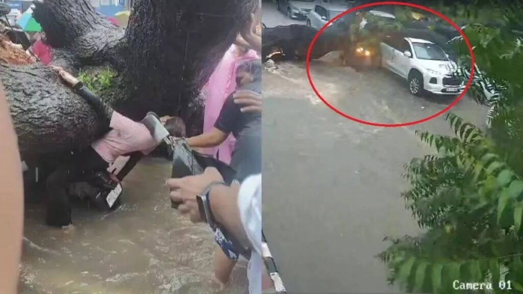 दिल्ली में बारिश का कहर: बाइक और कार पर गिरा पेड़, एक की मौत, वीडियो वायरल