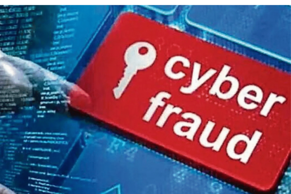 Online Fraud
