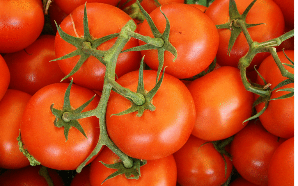 Tomato