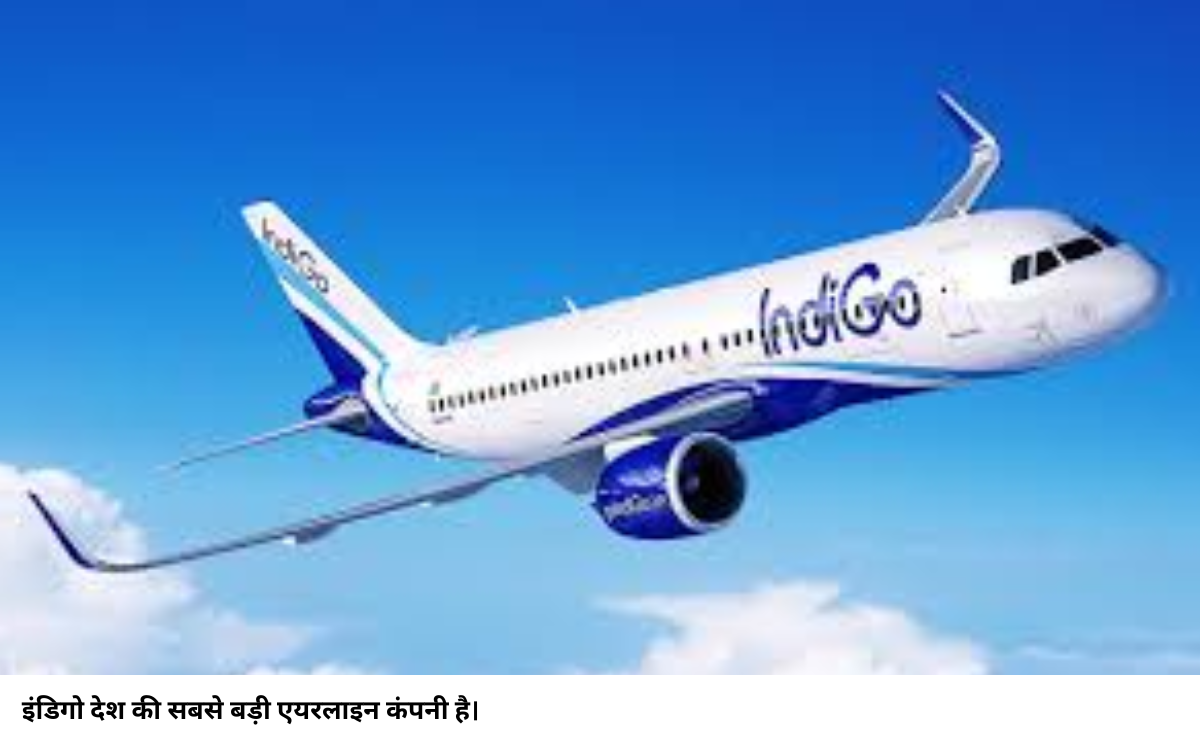 Indigo