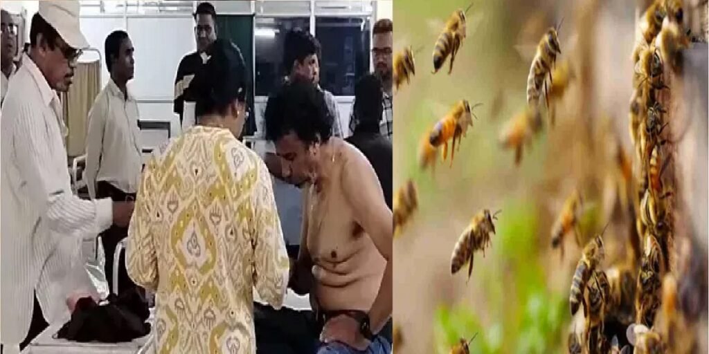 माइंस में मधुमक्खियों का हमला: अफरा-तफरी मची, कई कर्मचारी घायल
