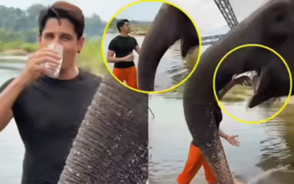 सिद्धार्थ मल्होत्रा