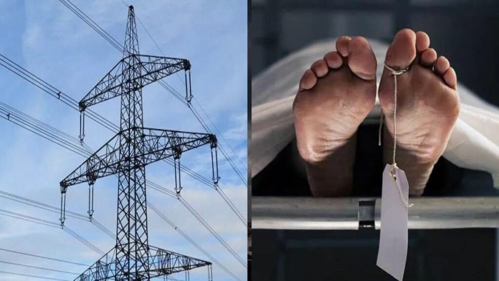 हाईटेंशन तार गिरा, दो भाइयों की खेत में करंट से दर्दनाक मौत
