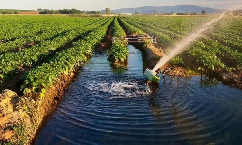राज्य शासन ने दी प्रशासकीय स्वीकृति, 50 हेक्टेयर क्षेत्र में भू-जल संवर्धन और पेयजल उपलब्धता सुनिश्चित होगी