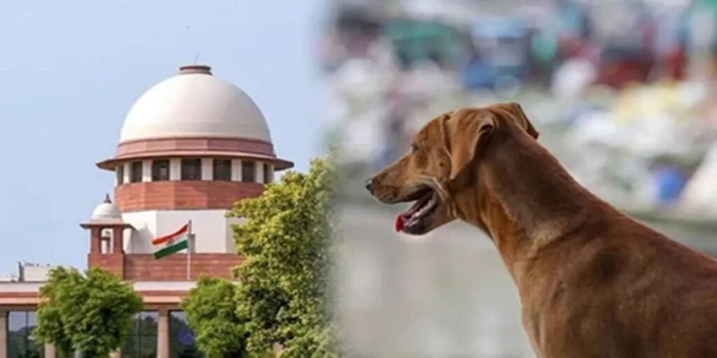 सुप्रीम कोर्ट का सख्त रुख: ‘अदालत का कोई सम्मान है या नहीं?’, सभी सचिवों को तलब करने के आदेश