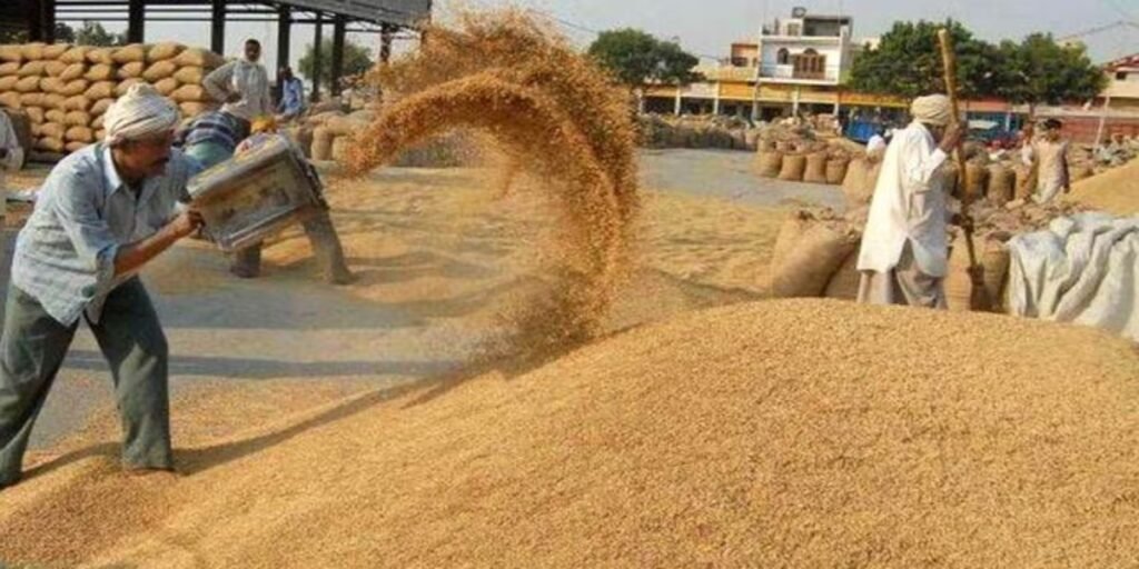 CG Dhan Kharidi: समर्थन मूल्य पर धान खरीदी शुरू होते ही प्रशासन अलर्ट, अवैध परिवहन पर कसी नकेल