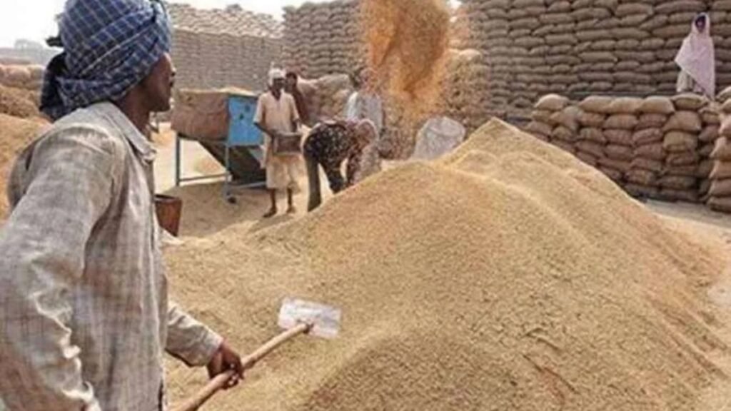 CG Dhan Kharidi : छत्तीसगढ़ में 5 दिन में 14,54,451 क्विंटल धान की खरीदी, टोकन तुंहर एप से किसानों को मिल रही सुविधा