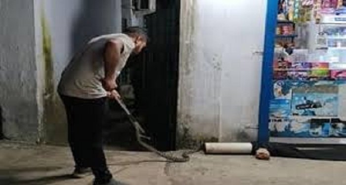 कोरबा में दिखा दुर्लभ सांप: मानिकपुर की जेपी कॉलोनी में फैली दहशत, वाइल्ड लाइफ टीम ने किया रेस्क्यू