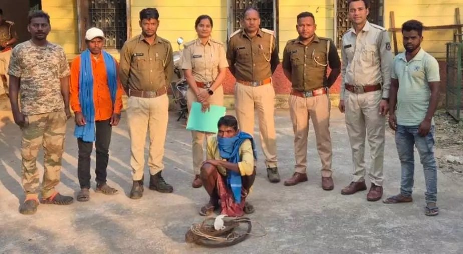 बिजली के तार से शिकार का फंदा लगाते शख्स गिरफ्तार, वन विभाग में मचा हड़कंप