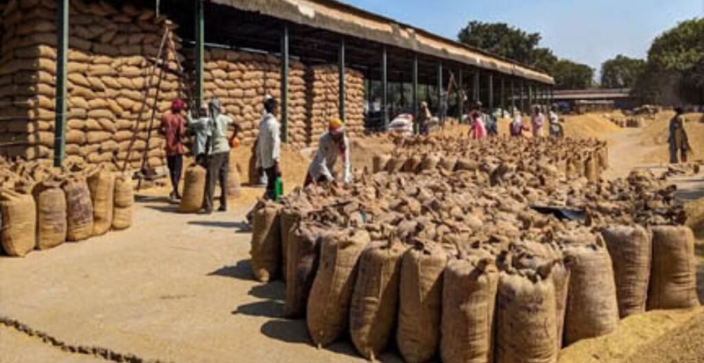 19,320 क्विंटल धान