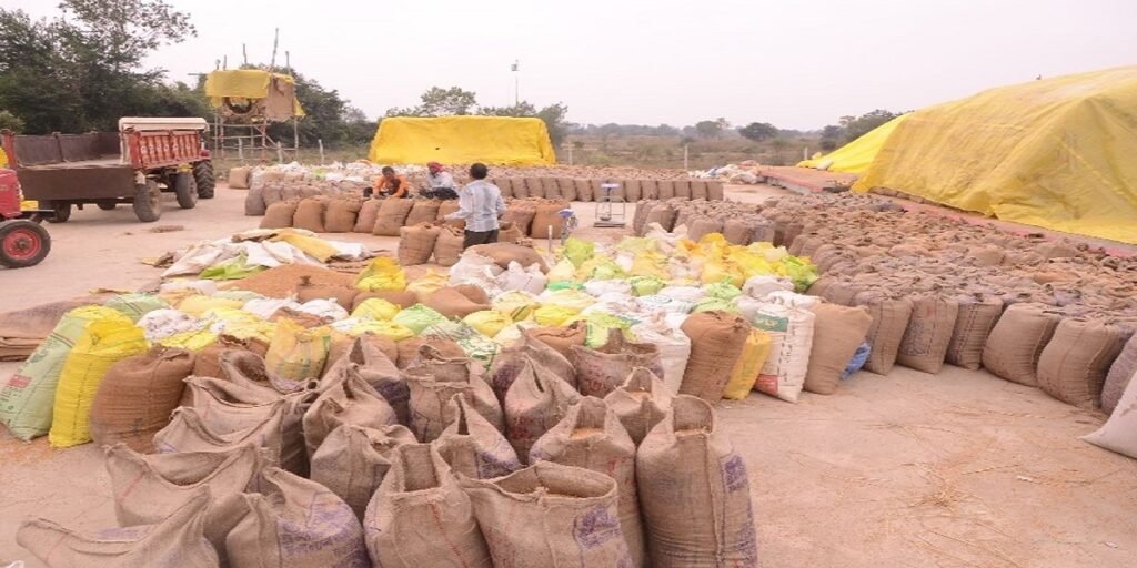 धान खरीदी में अनियमितता: कलेक्टर के निर्देश पर कई मामले दर्ज, अवैध परिवहन पर कड़ी कार्रवाई