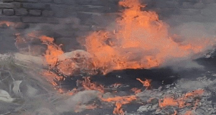 दिल्ली में खुले में कचरा जलाना अब पड़ेगा महंगा, 5 हजार तक का लगेगा जुर्माना; दिल्ली सरकार का बड़ा कदम