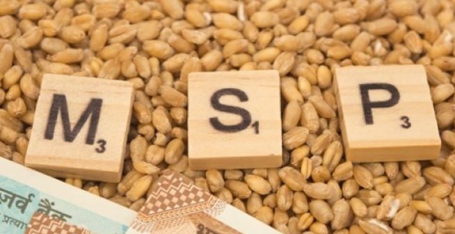 PM-AASHA योजना के तहत छत्तीसगढ़ में MSP पर दलहन-तिलहन की खरीदी, 425 करोड़ की स्वीकृति