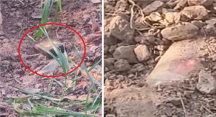 CG Naxal News: माओवादी हमले की योजना विफल, गंगालूर क्षेत्र में सुरक्षाबलों ने दो विस्फोटक उपकरण नष्ट किए