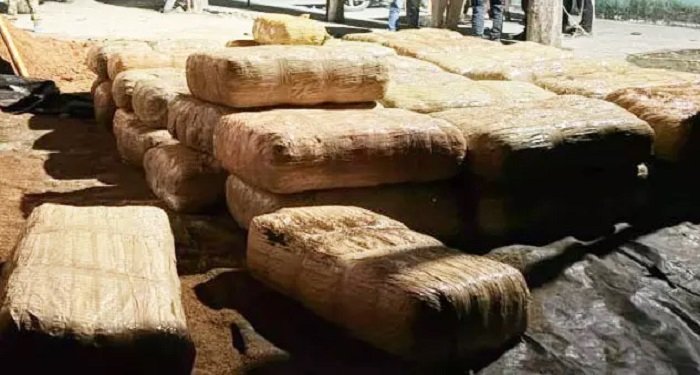 CG Crime: नारियल भूसी की आड़ में गांजा तस्करी, 6 करोड़ का माल जब्त; ट्रक सवार तस्करों से पूछताछ जारी