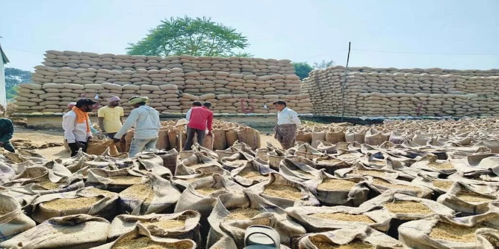 रायगढ़ में धान खरीदी तेज, अब तक 22.20 लाख क्विंटल उपार्जन, किसानों को 50 हजार लाख से अधिक का भुगतान