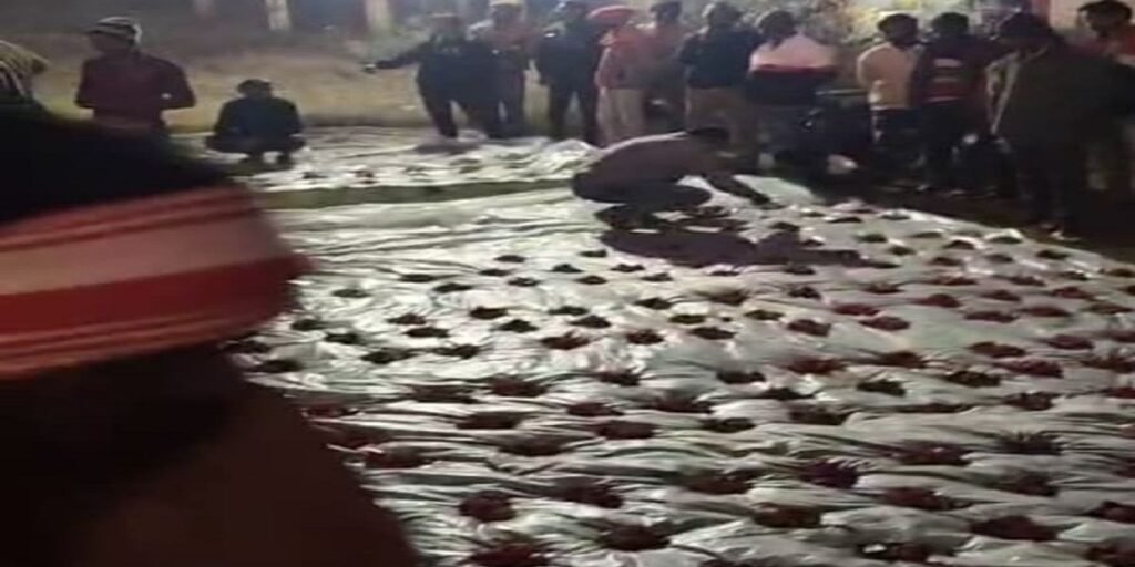 CG News: 200 से अधिक लोगों ने खाया रेबीज संक्रमित बकरे का मांस, स्वास्थ्य खतरे की चेतावनी, गांव में अफरा-तफरी…