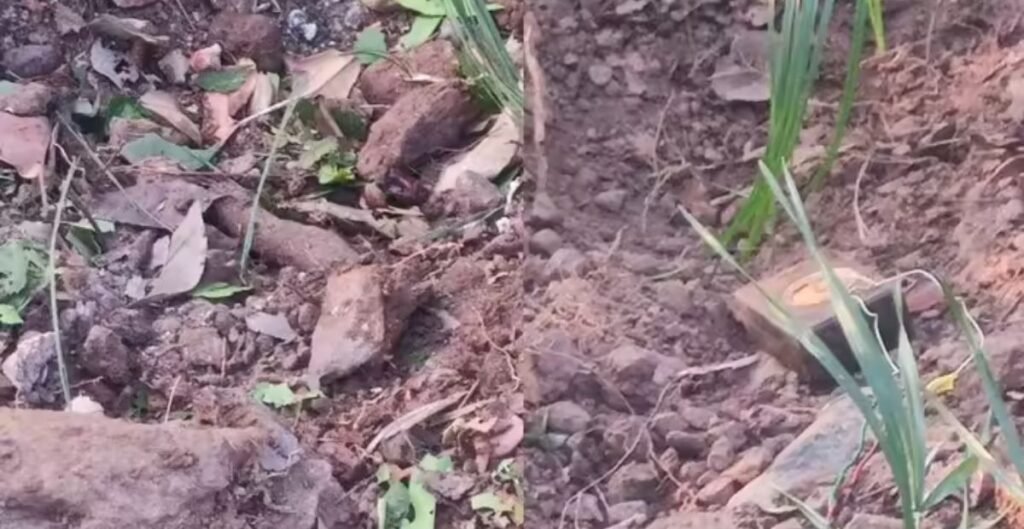 टिफिन और बीयर की बोतल में छिपा था बम, CRPF जवानों ने नाकाम की बड़ी साजिश, सुरक्षाबल थे निशाने पर CRPF