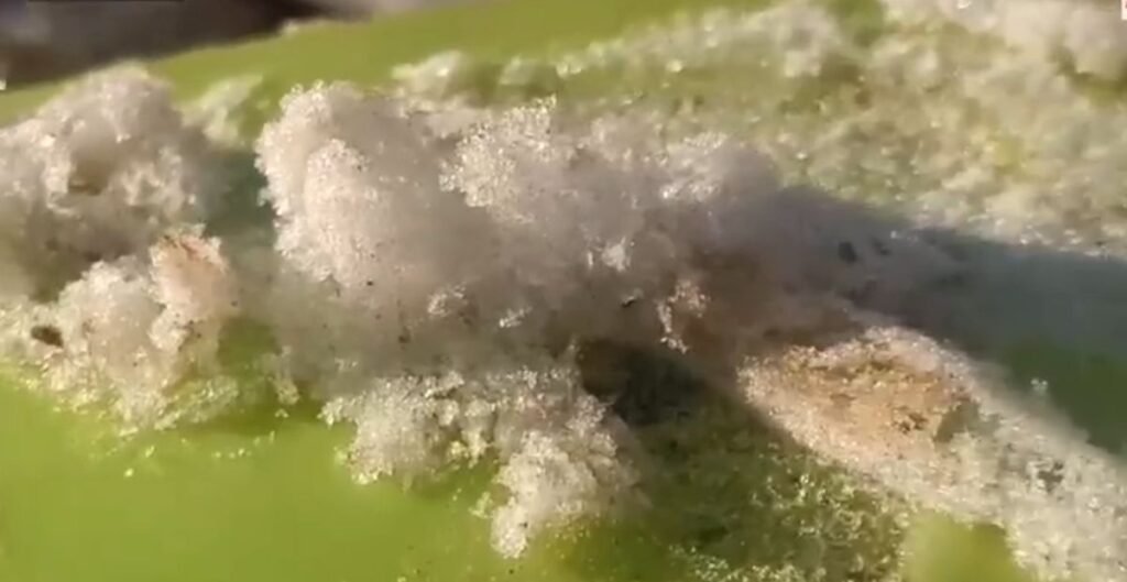 CG Weather: कड़ाके की ठंड से ठिठुरा सरगुजा, बर्फ की जमी परत ने बढ़ाई ठिठुरन बर्फ