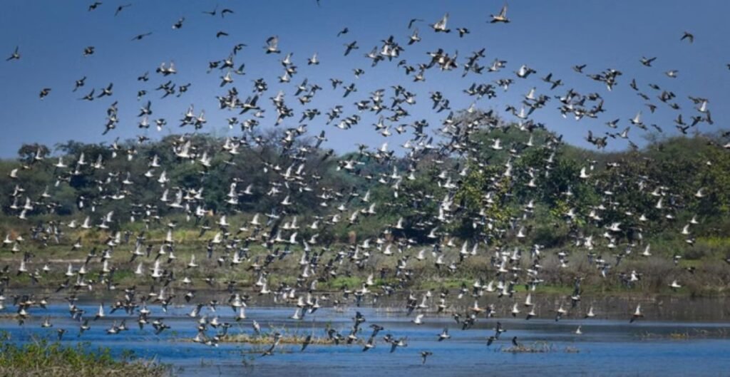 कोपरा जलाशय