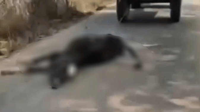 सड़क पर मरे मवेशी को घसीटने का मामला, बजरंग दल ने दोषियों के खिलाफ कड़ी सजा की मांग की