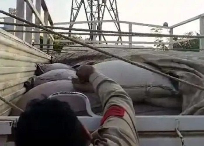 रायगढ़: माजदा वाहन में लावारिस हालत में मिली 80 बोरी धान, पुलिस ने किया जब्त