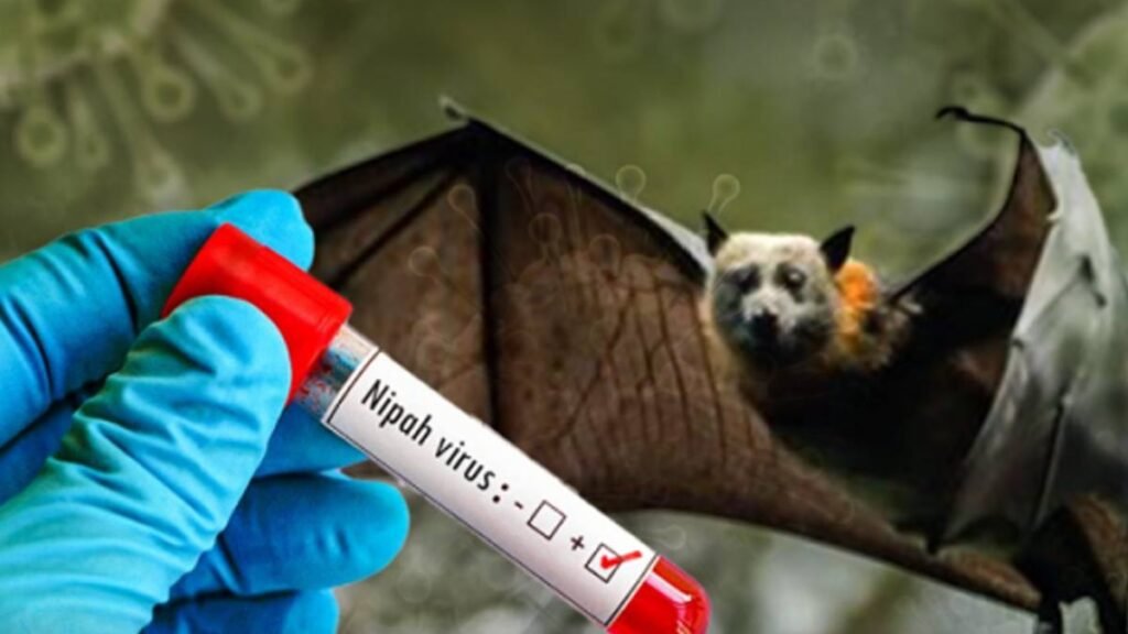 Nipah Virus Treatment Update: निपाह वायरस का खतरा, कैसे करें बचाव? जानें इसके लक्षण और उपचार