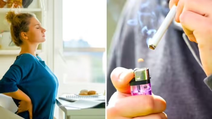 सिगरेट से भी ज्यादा जानलेवा है घंटों बैठना! जानें शरीर के किस अंग को पहुंचता है सबसे ज्यादा नुकसान?