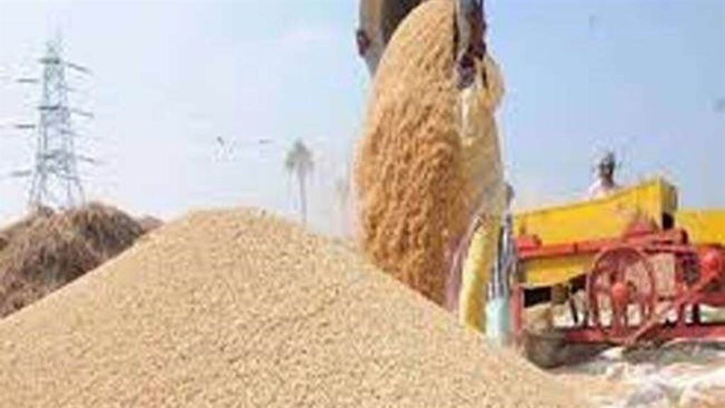 CG Dhan Kharidi News: छत्तीसगढ़ में धान खरीदी का आज आखिरी दिन, टोकनधारी किसान ही बेच सकेंगे उपज