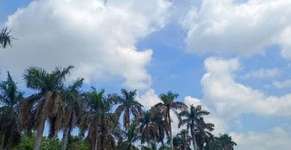 CG Weather News: छत्तीसगढ़ में ठंड से मिली राहत, उत्तर इलाकों में बारिश और बिजली गिरने की संभावना ठंड