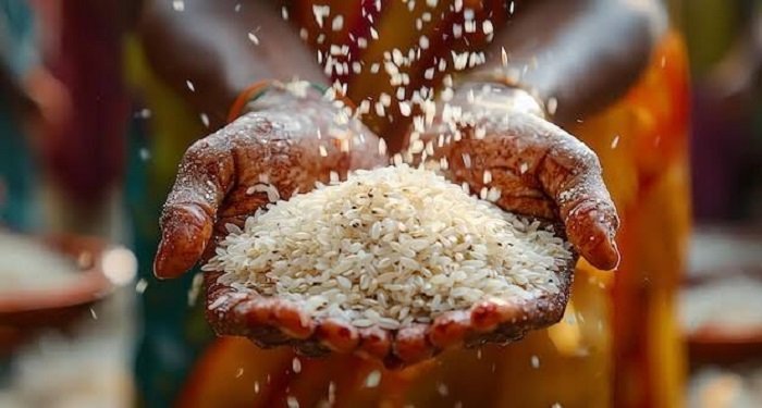 CG Rice Festival 2026: फरवरी और मार्च का चावल एक साथ मिलेगा, राशन दुकानों में बड़ा बदलाव; जानें पूरी जानकारी