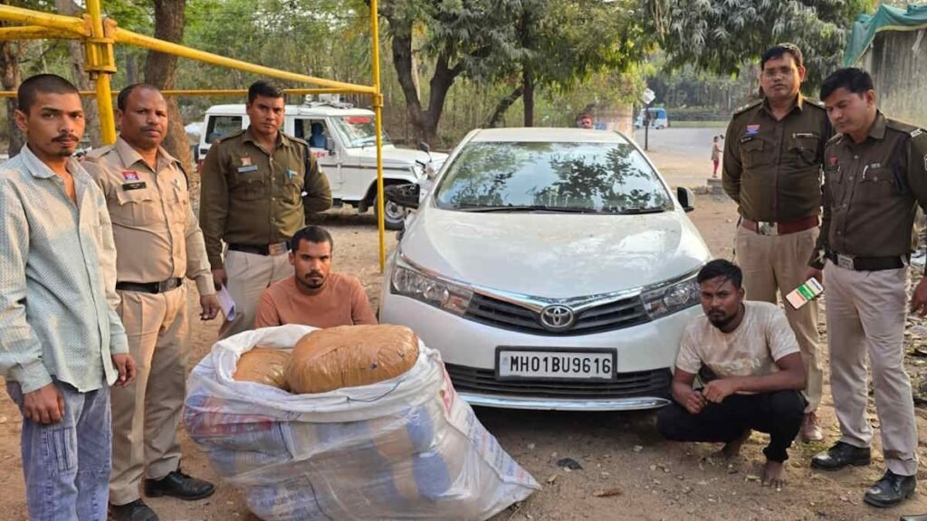 छत्तीसगढ़ पुलिस की बड़ी कामयाबी, 50 किग्रा गांजा बरामद; 2 तस्कर गिरफ्तार