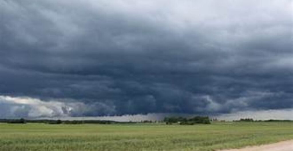 Weather Update: पश्चिमी विक्षोभ सक्रिय, उत्तर-पश्चिम भारत में गिरेगा तापमान; तटीय इलाकों में बारिश का अलर्ट पश्चिमी विक्षोभ