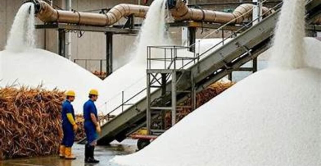 चीनी उत्पादन