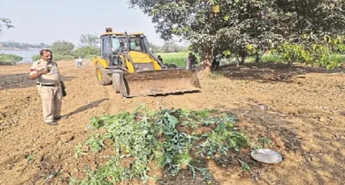 5 एकड़ 62 डिसमिल में फैली अफीम की खेती पर चला बुलडोजर, 360 डिग्री कैमरे से रखी जा रही थी निगरानी