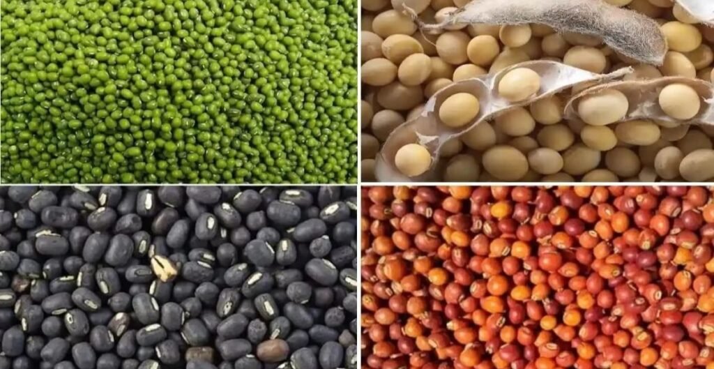 Kharif