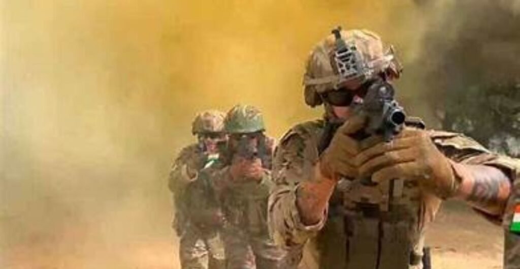 लाइट मशीन गनों