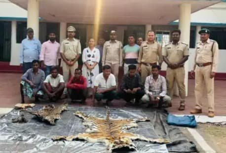वन विभाग की बड़ी कार्रवाई: दंतेवाड़ा में 6 शिकारी दबोचे