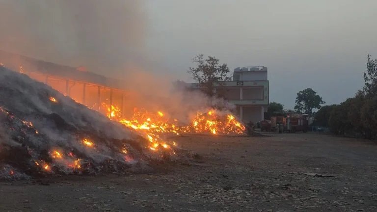 CG Fire News: तेंदूपत्ता गोदाम में भीषण आग, करोड़ों का नुकसान, वन विभाग की लापरवाही पर उठे सवाल
