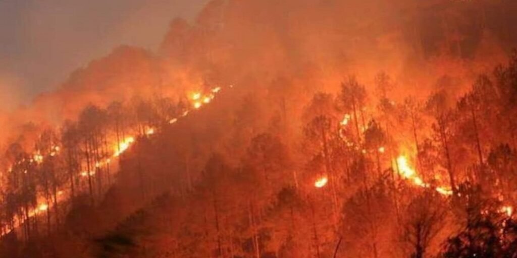 Forest Fire Video: सोलन के जंगलों में भड़की भीषण आग, आसमान तक उठीं लपटें और धुएं का गुबार, VIDEO वायरल