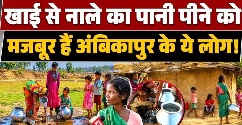 व्यवस्था