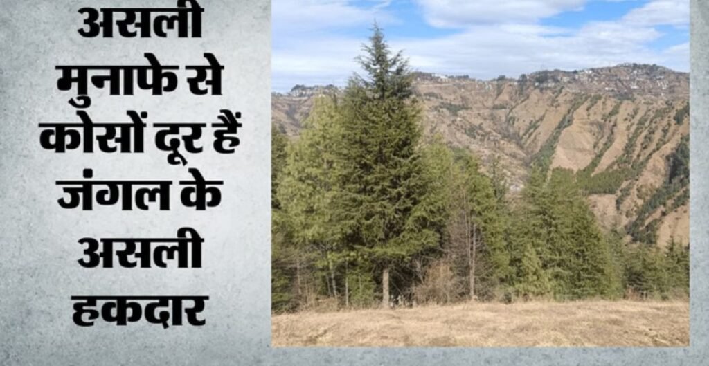 वन अर्थव्यवस्था