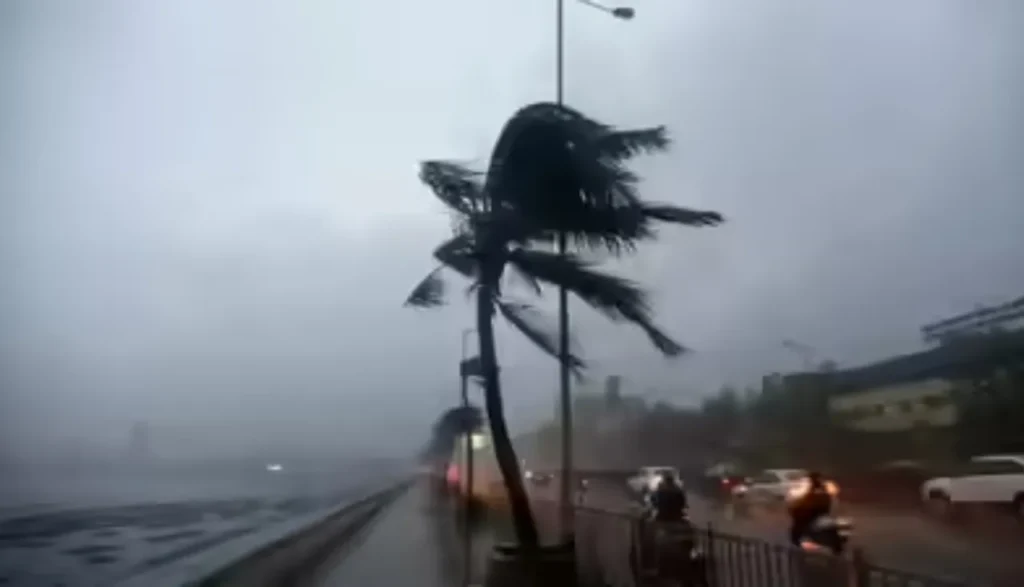 मानसून