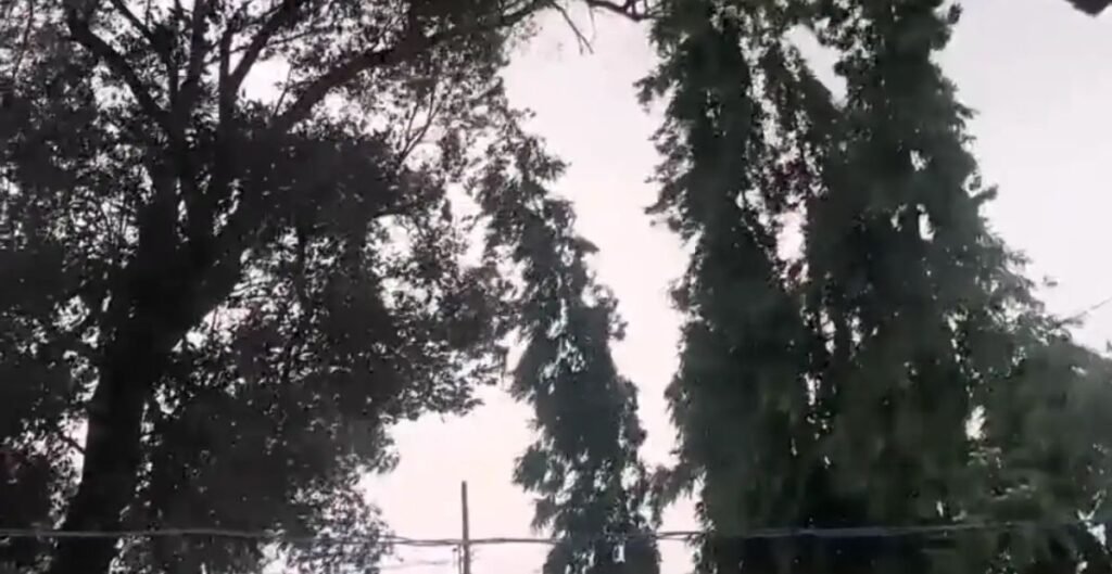 मानसून