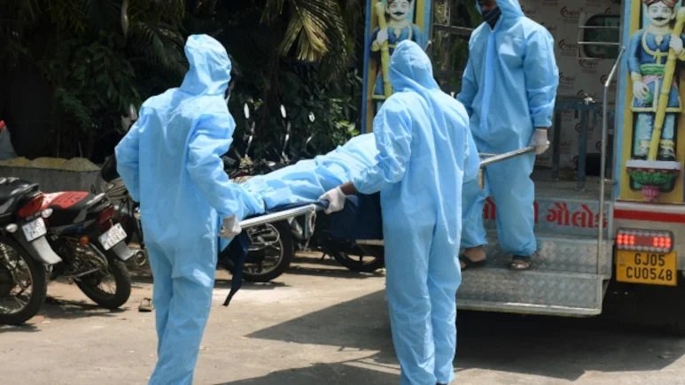 राजस्थान में Chandipura Virus का खतरा? संदिग्ध संक्रमण से 6 साल की बच्ची की मौत, स्वास्थ्य विभाग अलर्ट