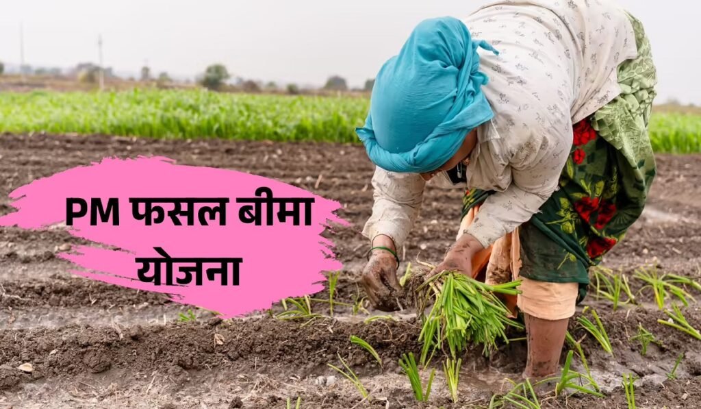 CG News: किसानों के लिए जरूरी खबर! 31 जुलाई है फसल बीमा की आखिरी तारीख, 10 फसलें हैं शामिल