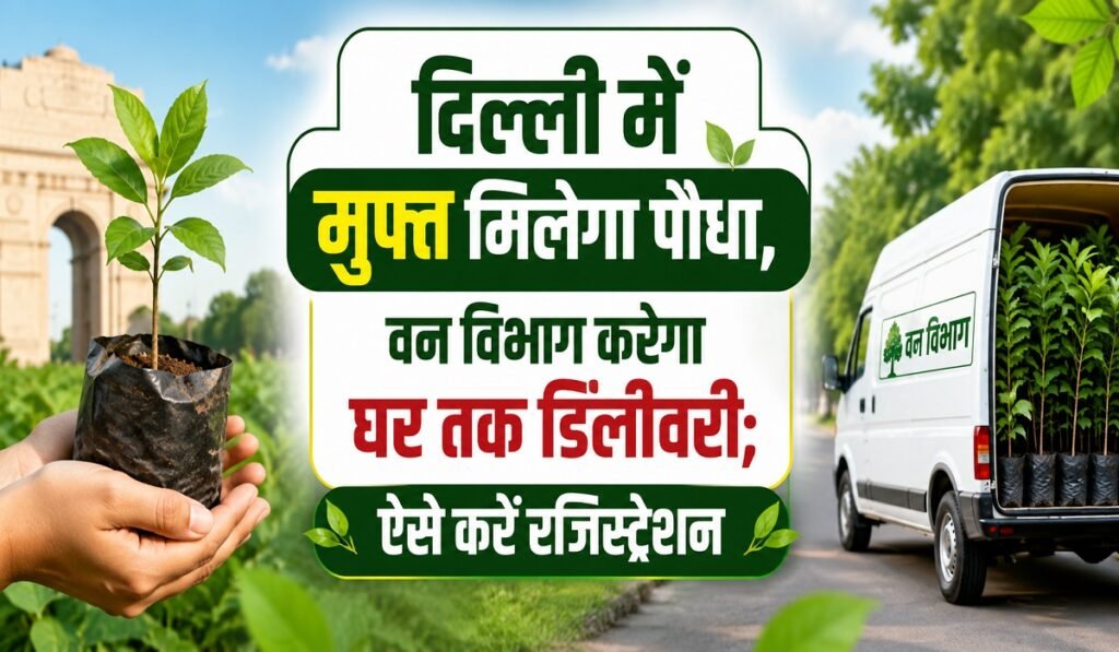 Delhi Free Plant Registration: दिल्ली में मुफ्त मिलेगा पौधा, वन विभाग करेगा घर तक डिलीवरी; ऐसे करें रजिस्ट्रेशन