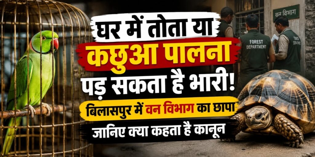 घर में तोता या कछुआ पालना पड़ सकता है भारी! बिलासपुर में वन विभाग का छापा, जानिए क्या कहता है कानून