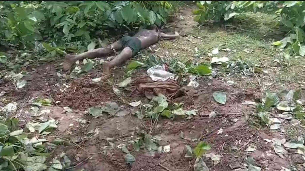 हाथी के हमले में किसान की मौत, जंगल से निकलकर खेत में पहुंचा था गजराज